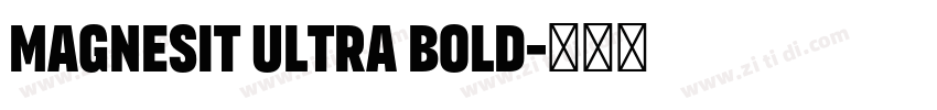 Magnesit Ultra Bold字体转换